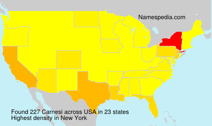Surname Carnesi in USA