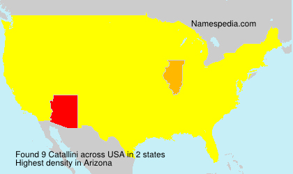 Surname Catallini in USA