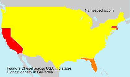 Surname Chesel in USA