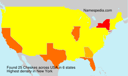 Surname Cheskes in USA