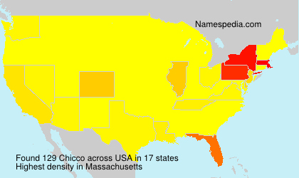 Surname Chicco in USA
