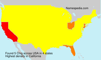 Surname Chig in USA
