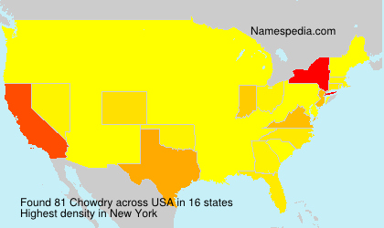 Surname Chowdry in USA