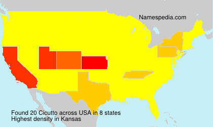 Surname Cicutto in USA