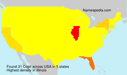 Surname Copil in USA