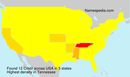 Surname Cristil in USA