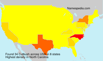 Surname Cutbush in USA