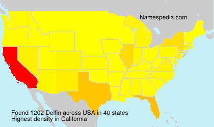 Surname Delfin in USA