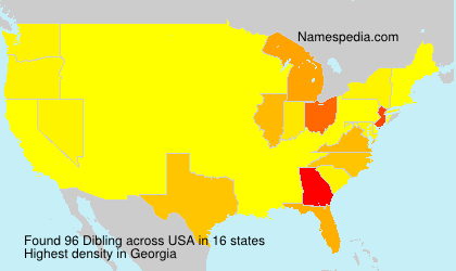 Surname Dibling in USA