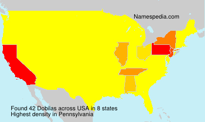 Surname Dobilas in USA