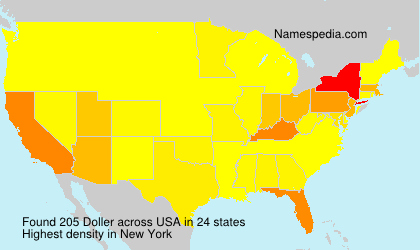 Surname Doller in USA