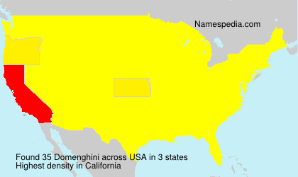 Surname Domenghini in USA