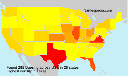 Surname Duesing in USA