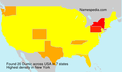 Surname Dumic in USA