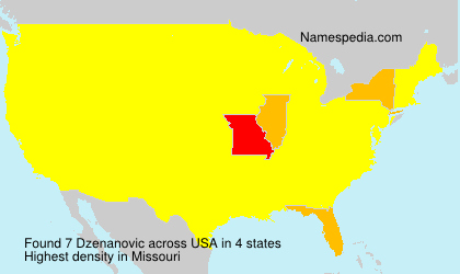 Surname Dzenanovic in USA