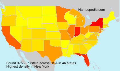 Surname Eckstein in USA