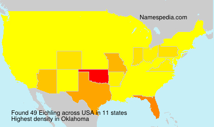 Surname Eichling in USA