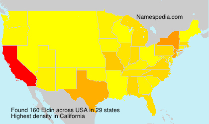 Surname Eldin in USA