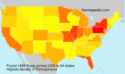 Surname Essig in USA