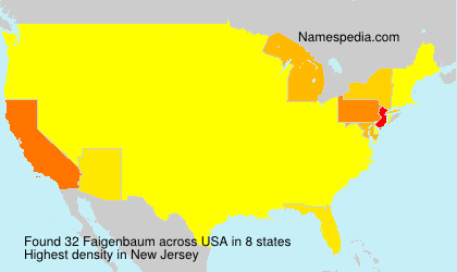 Surname Faigenbaum in USA