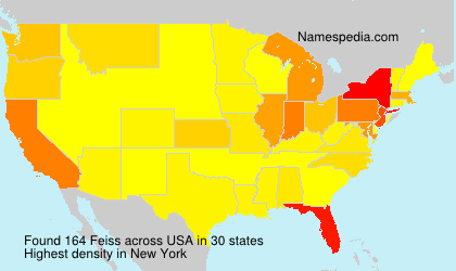 Surname Feiss in USA
