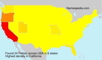 Surname Feitser in USA