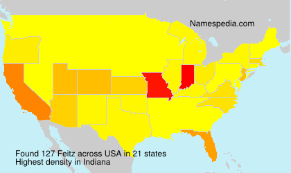 Surname Feitz in USA