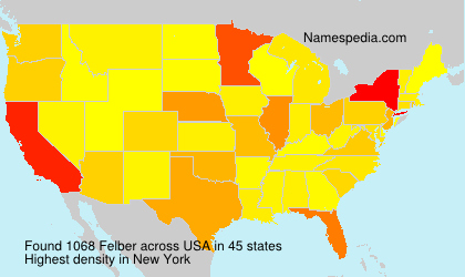 Surname Felber in USA