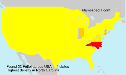Surname Felfel in USA