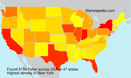 Surname Feller in USA
