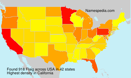 Surname Flaig in USA