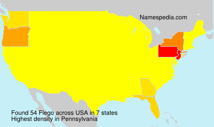 Surname Flego in USA