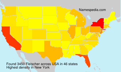 Surname Fleischer in USA