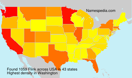 Surname Flink in USA