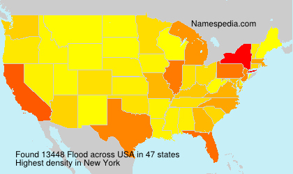 Surname Flood in USA
