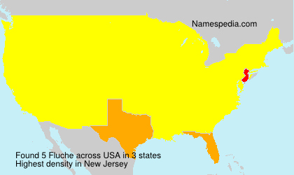 Surname Fluche in USA