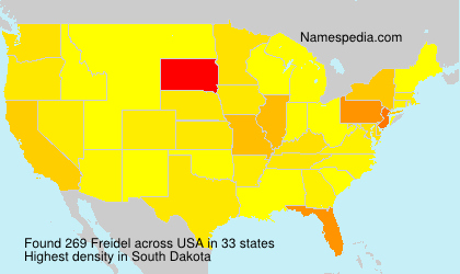 Surname Freidel in USA
