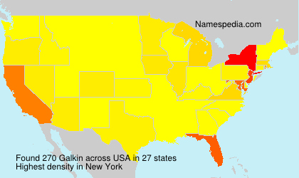 Surname Galkin in USA