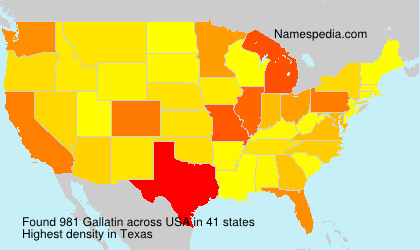 Surname Gallatin in USA