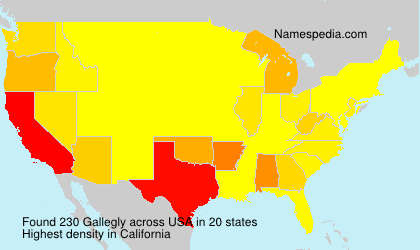 Surname Gallegly in USA