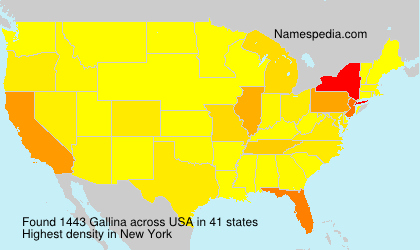 Surname Gallina in USA