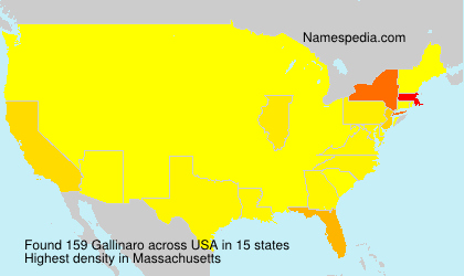 Surname Gallinaro in USA