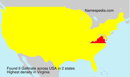 Surname Gallinate in USA