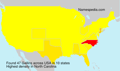 Surname Gallins in USA