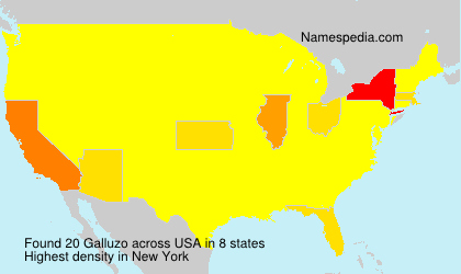 Surname Galluzo in USA