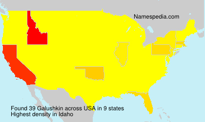 Surname Galushkin in USA
