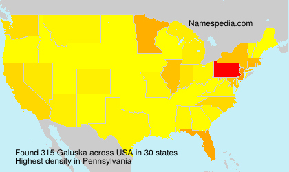 Surname Galuska in USA