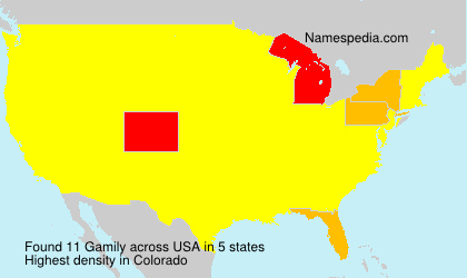 Surname Gamily in USA