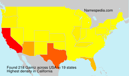 Surname Gamiz in USA