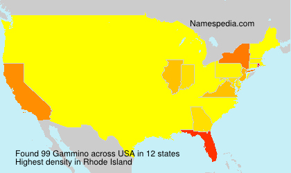 Surname Gammino in USA